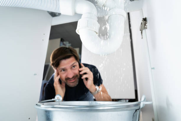Best Clogged Drain Plumber  in Morton, IL