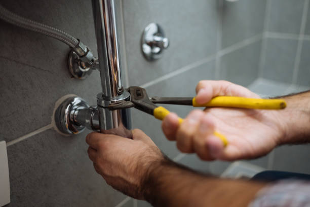 Best Drain Cleaning Services  in Morton, IL