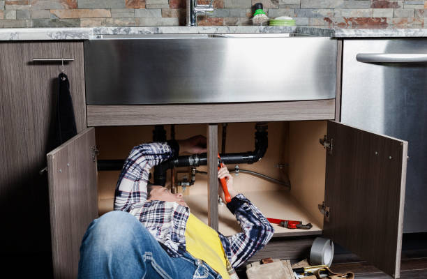 Best Local Plumber Services  in Morton, IL