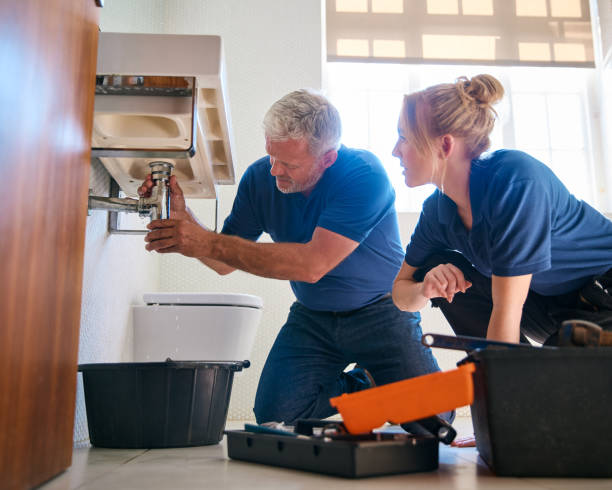 Best Affordable Plumber Near Me  in Morton, IL